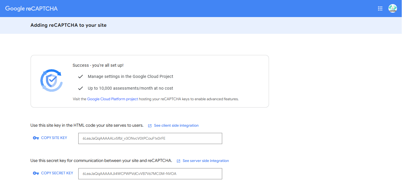 recaptcha-4.png