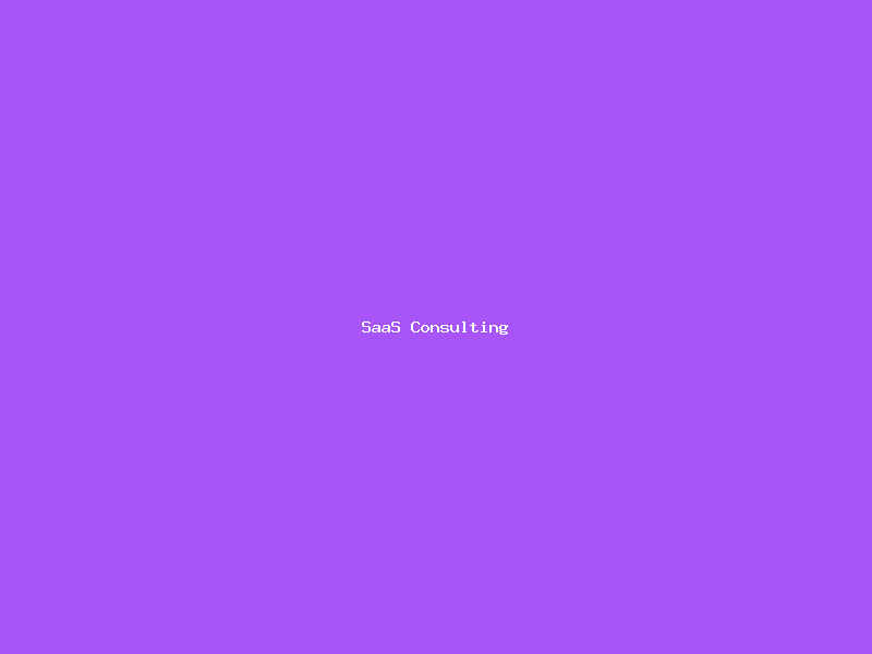 SaaS Consulting
